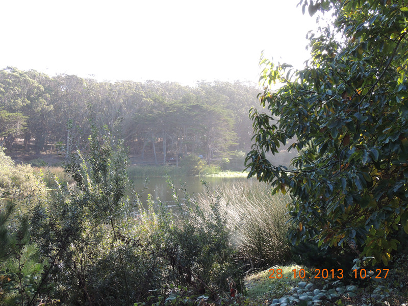 Golden gate park 057_.jpg