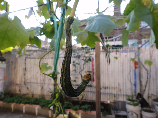 DSC01018.jpg