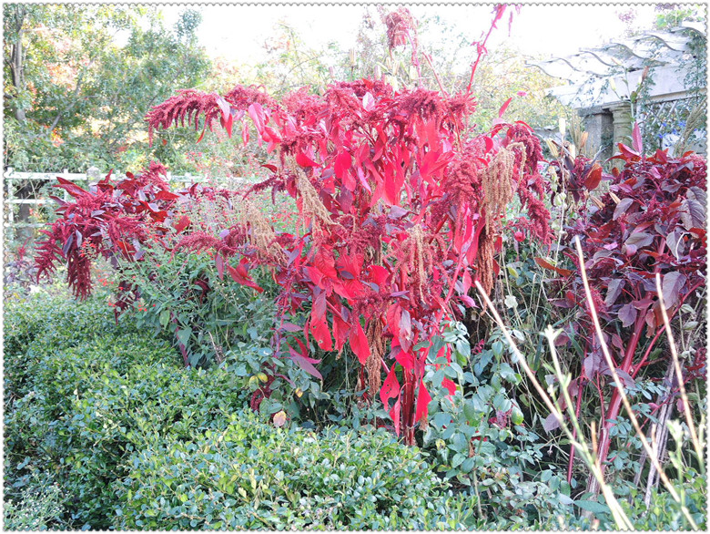 DSCN2690.jpg