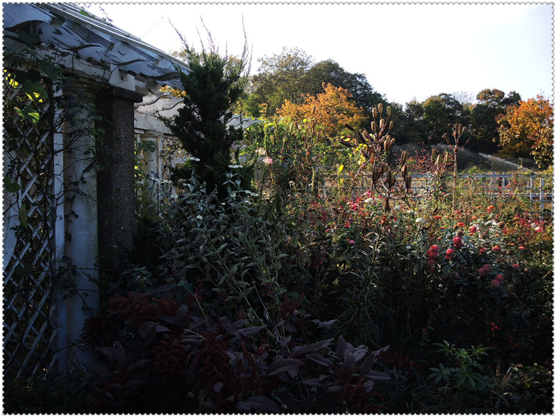 DSCN2693.jpg