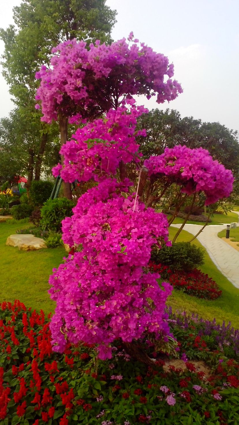 IMG_20131028_171155_副本.jpg