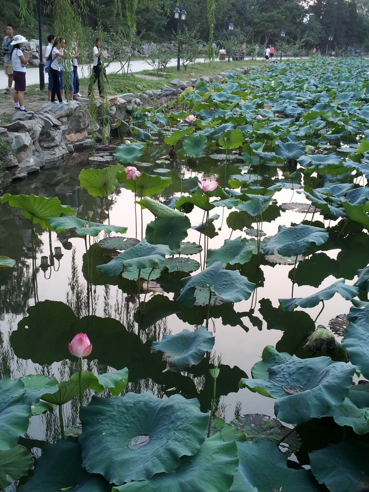 20130921_180126.jpg
