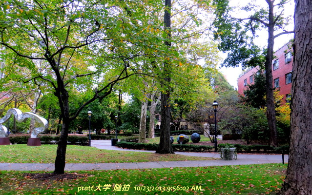 IMG_0001_5641.jpg
