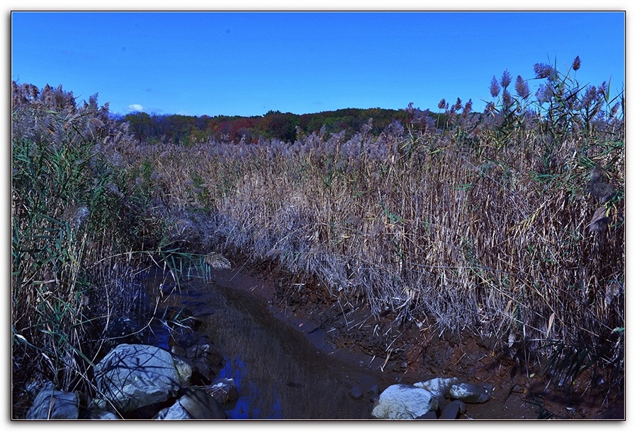 233_47626_4dc10335d917ada.jpg