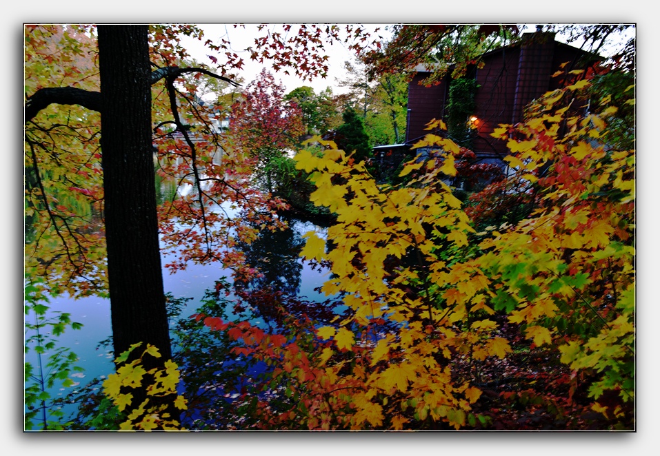DSC_4549.jpg