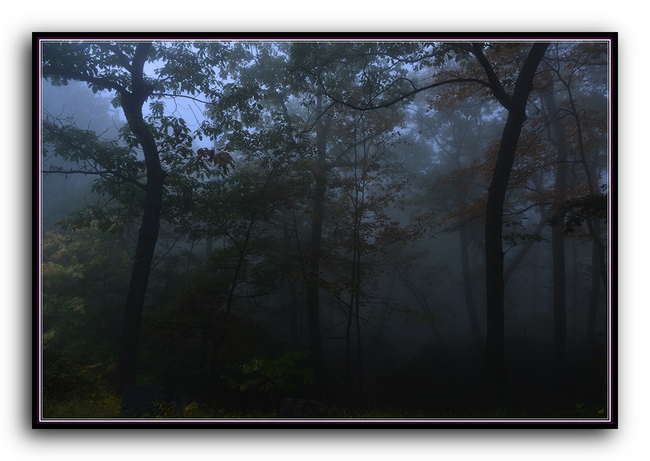 DSC_2639.jpg