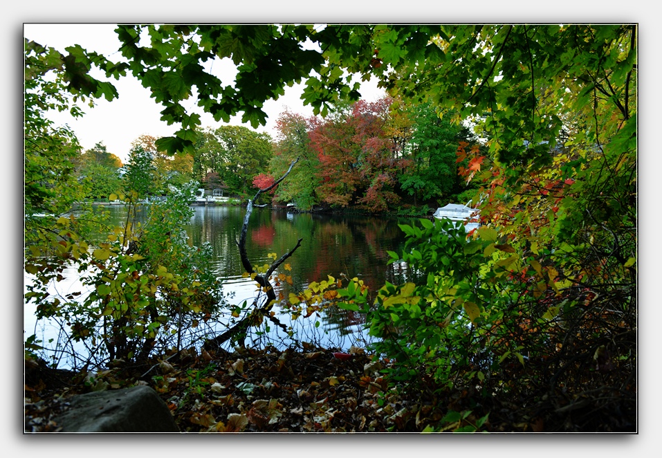 DSC_4506.jpg