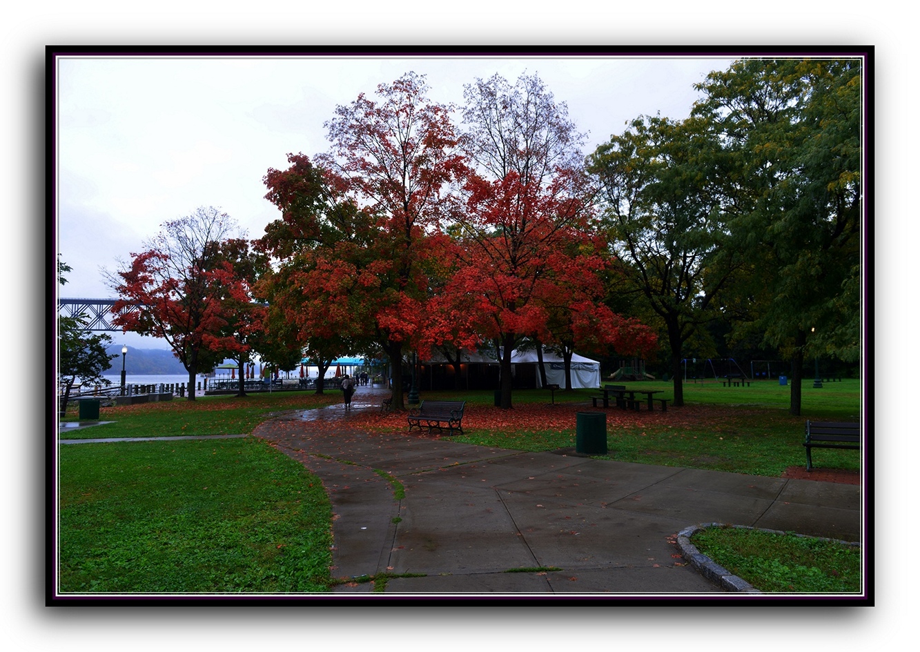 DSC_2696.jpg