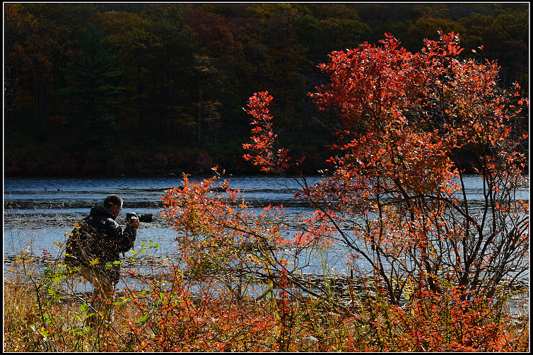DSC_2969.JPG