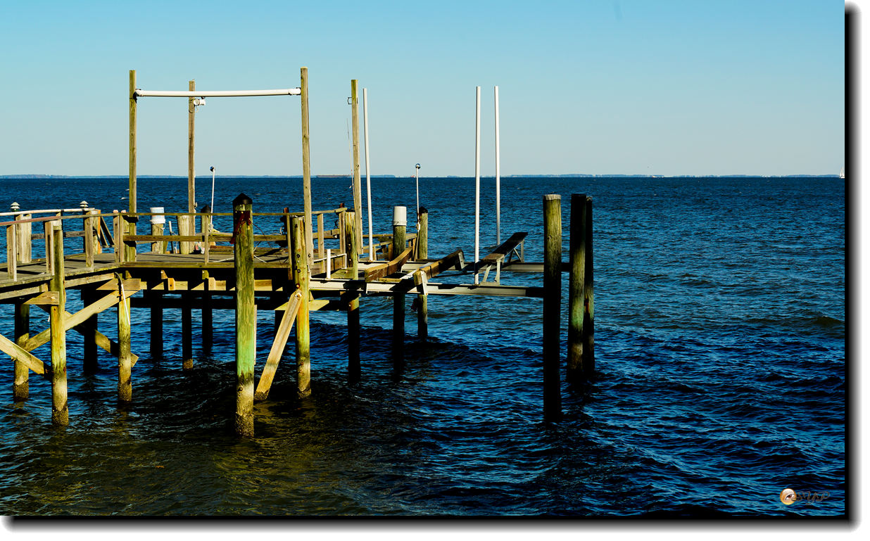 DSC08738_.jpg