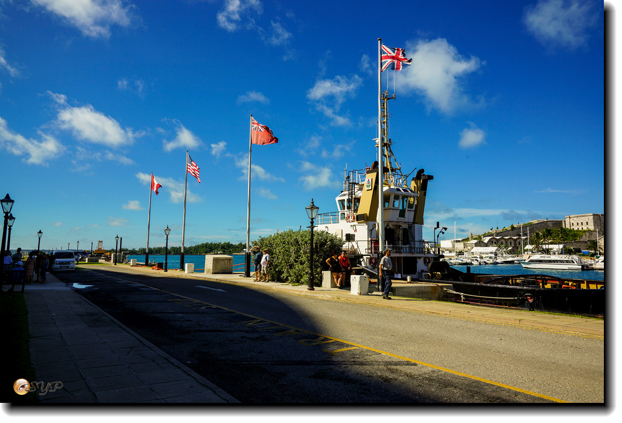 DSC06947_.jpg