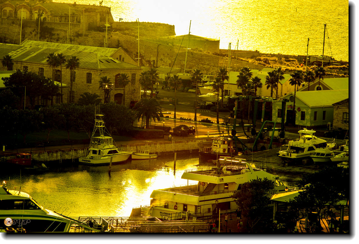 DSC06372_.jpg