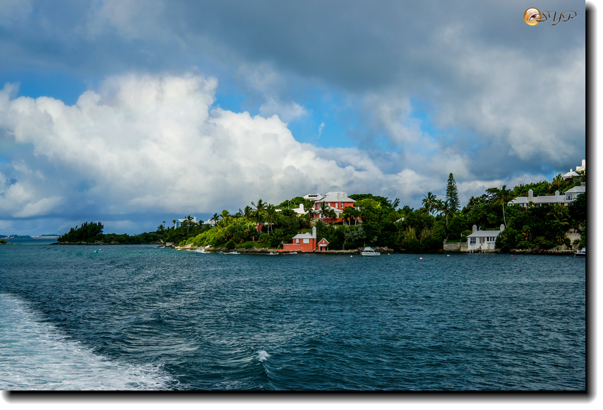 DSC06521_.jpg