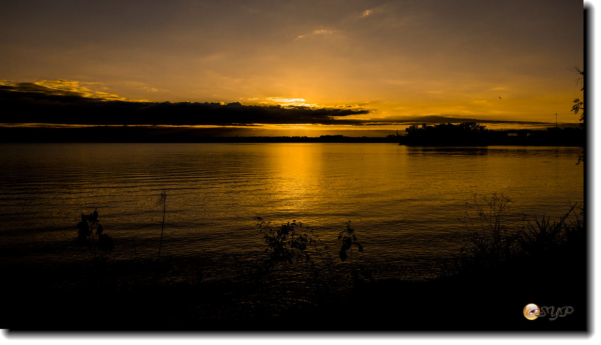 DSC05349_.jpg