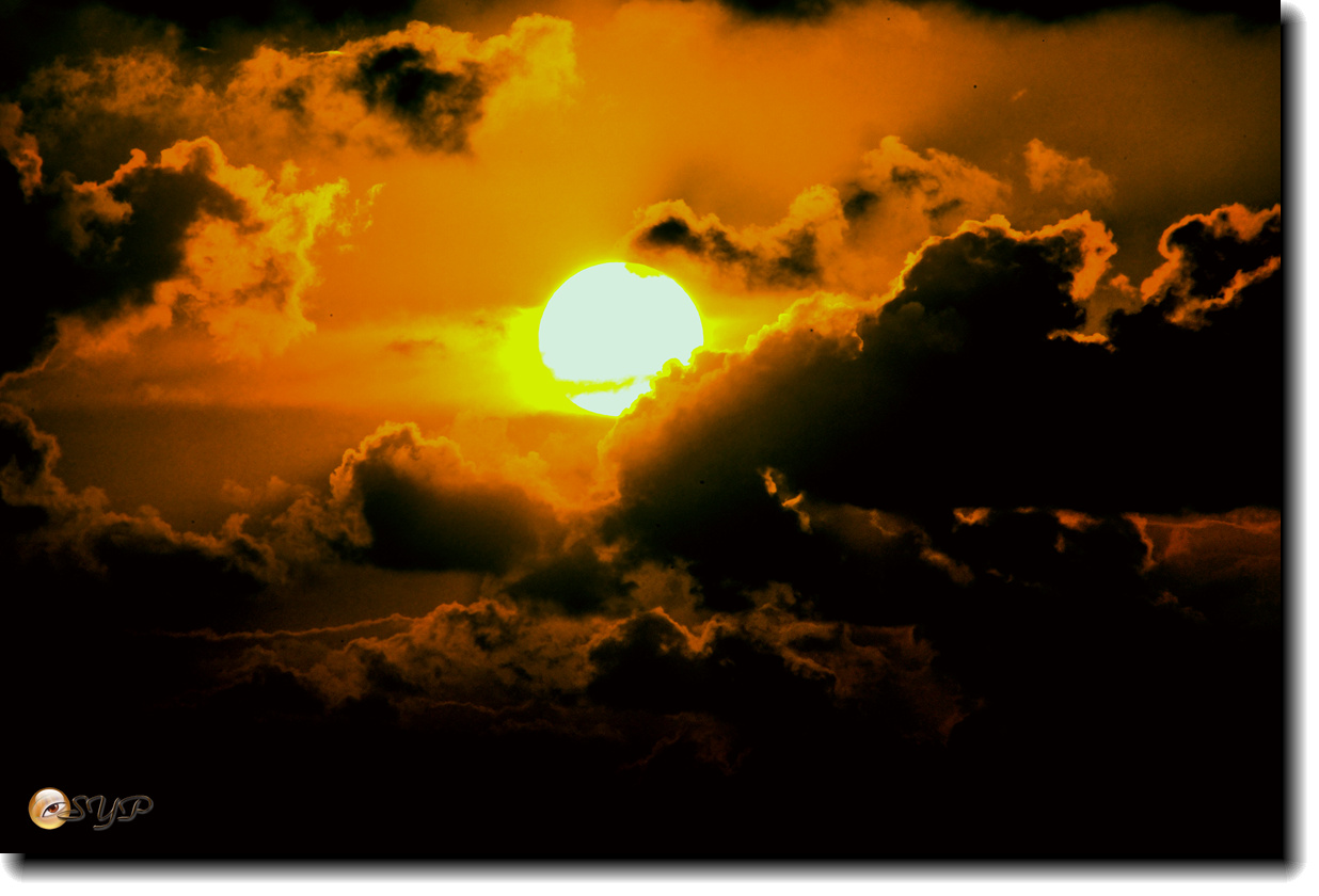 DSC05942_.jpg