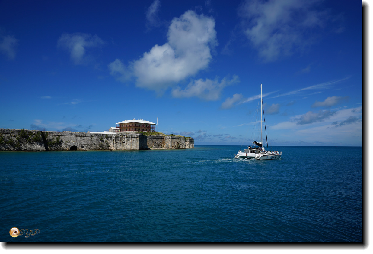 DSC07052_.jpg