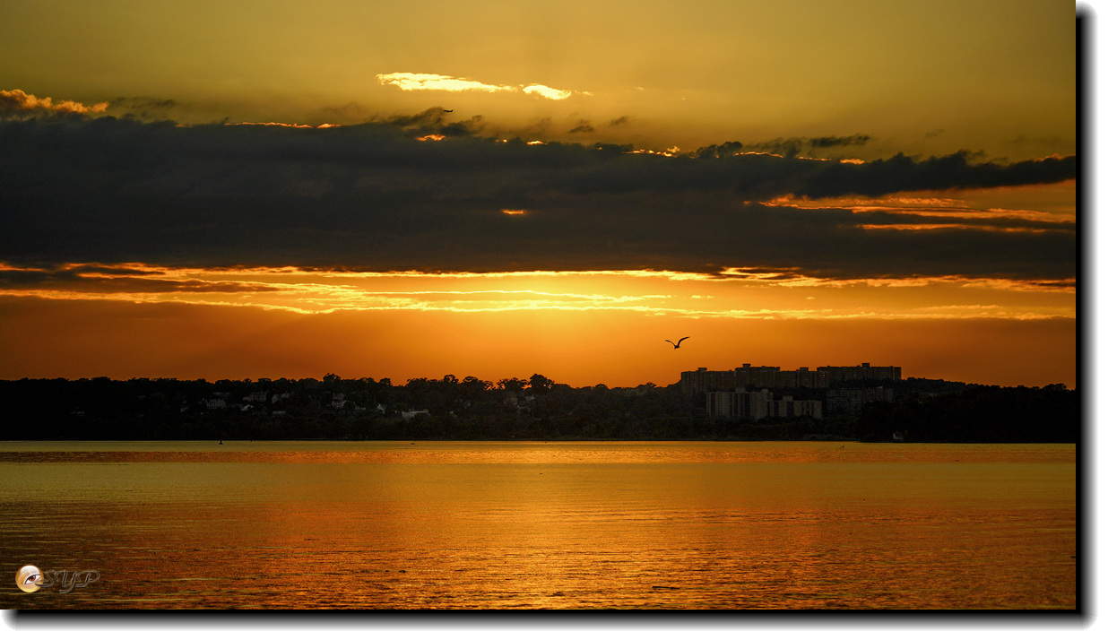 DSC05389_.jpg