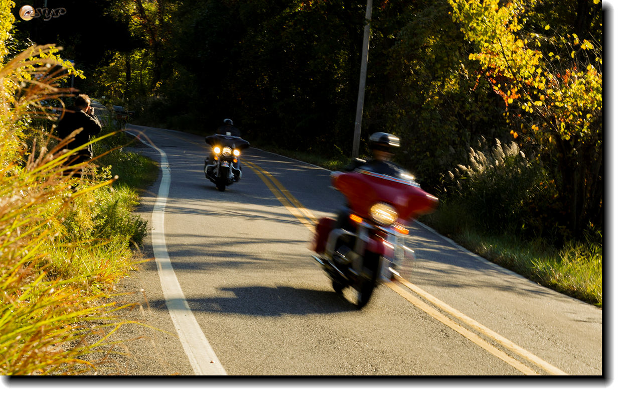 DSC08795_.jpg