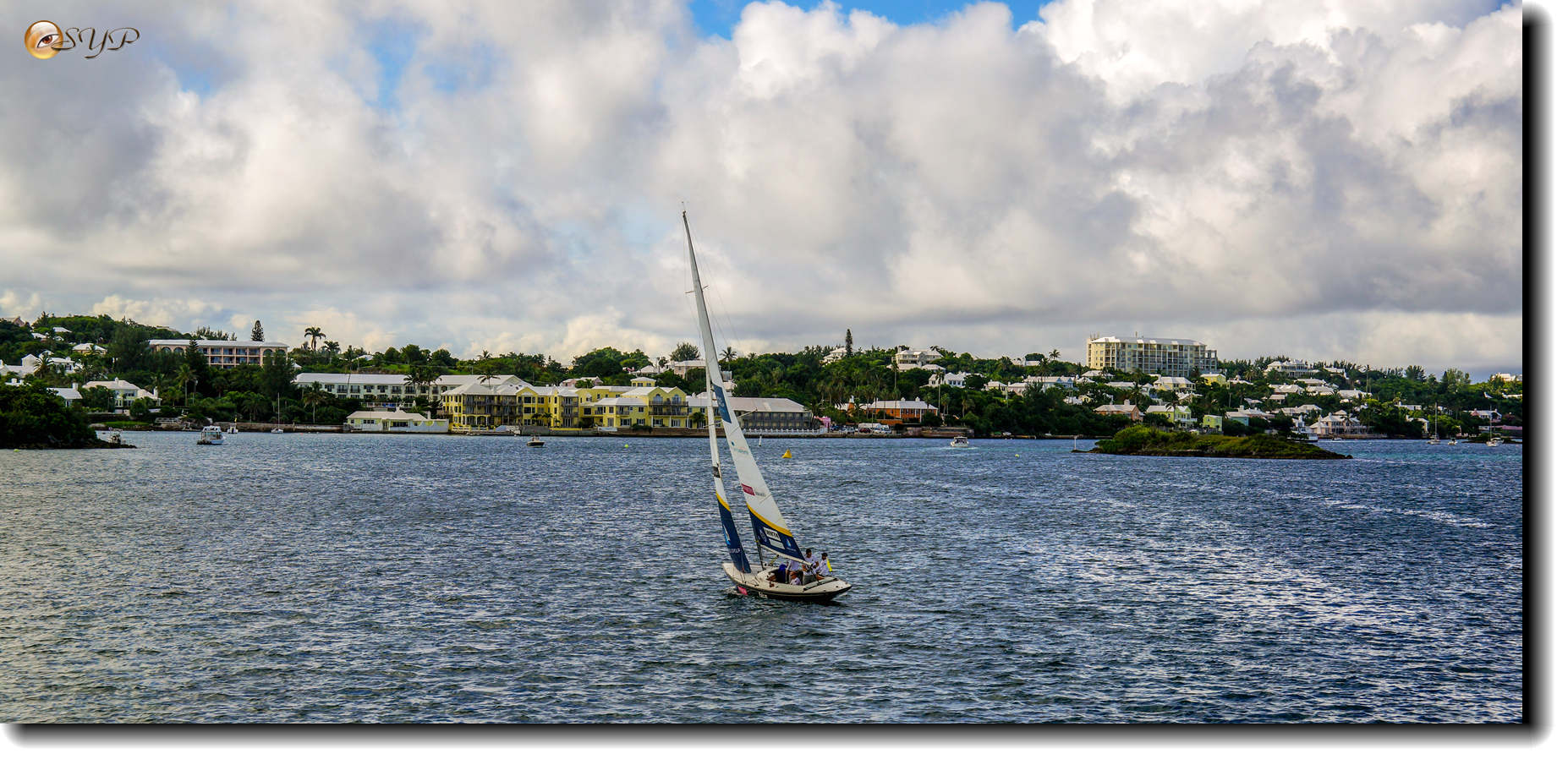 DSC06542_.jpg