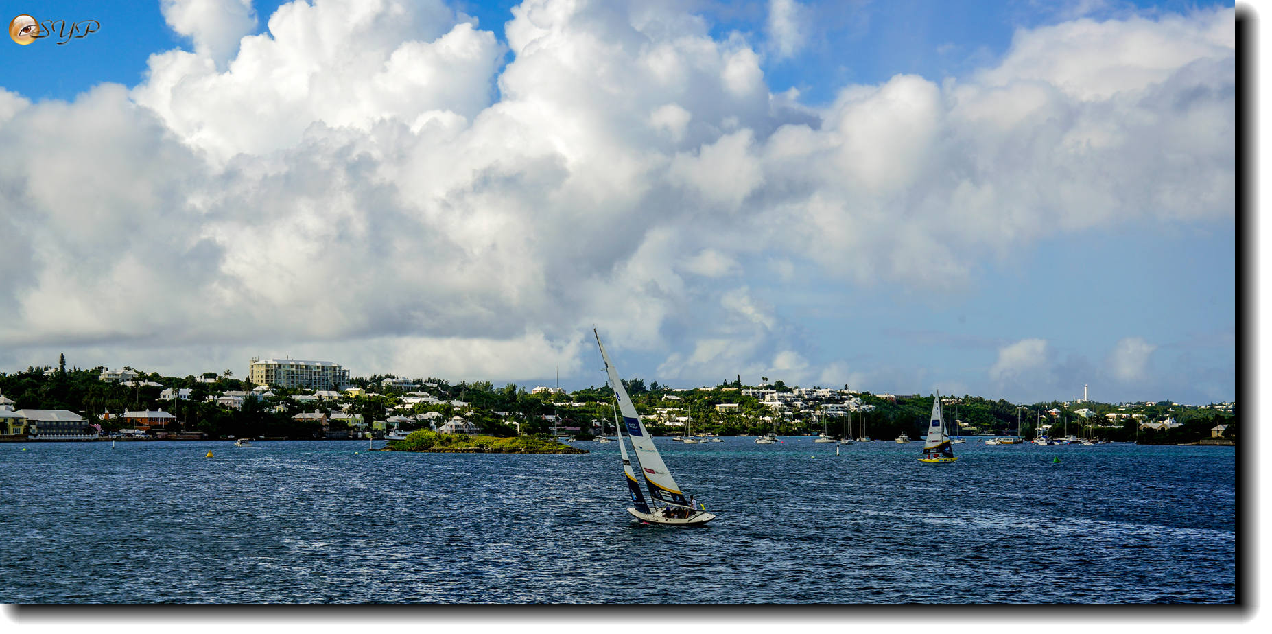 DSC06547_.jpg