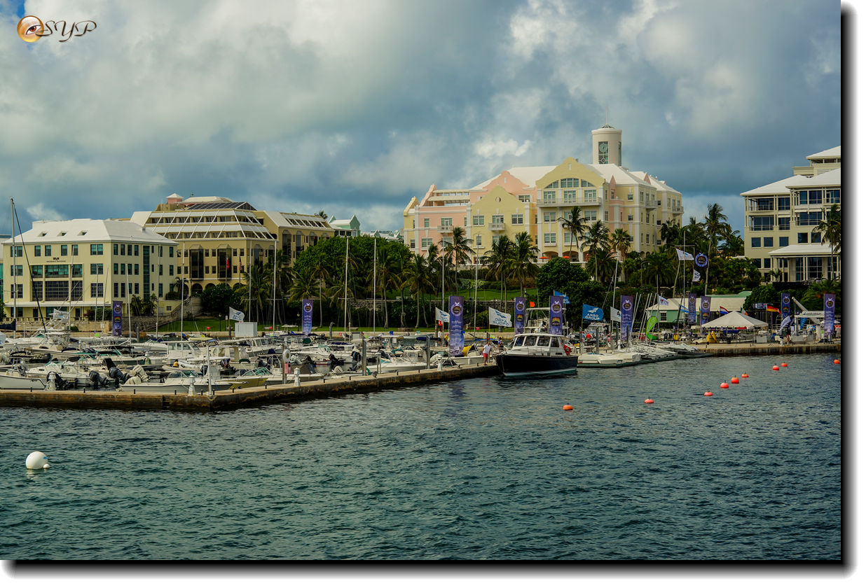 DSC06717_.jpg