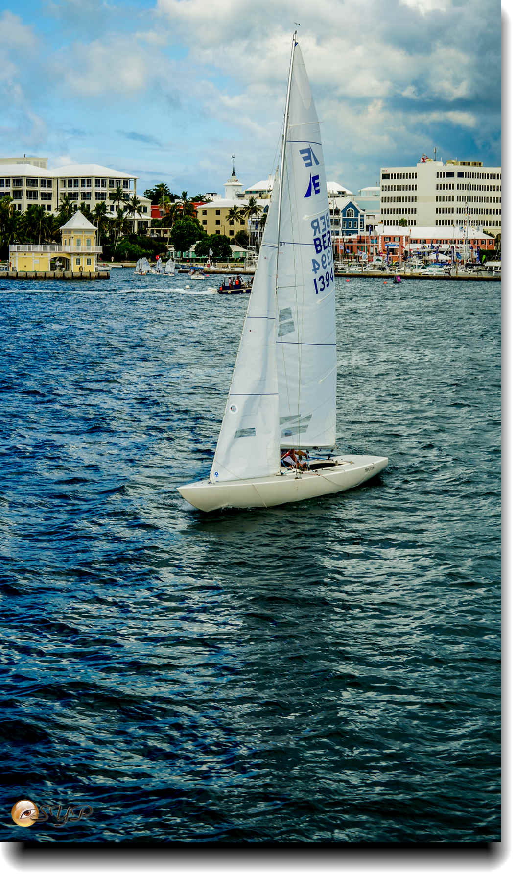 DSC06737_.jpg