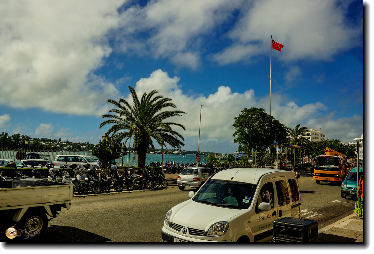 DSC06221_.jpg