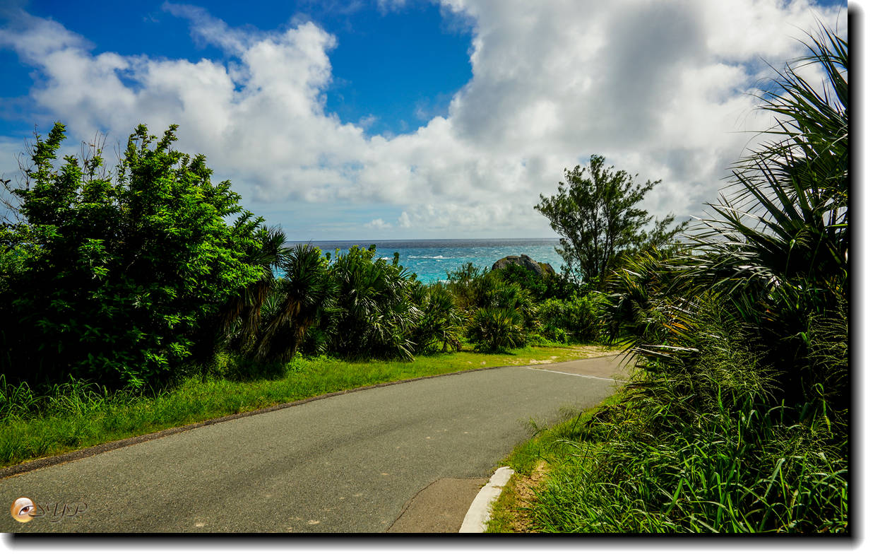 DSC06290_.jpg