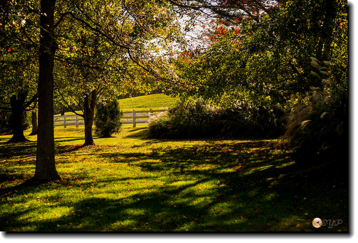DSC08720_.jpg