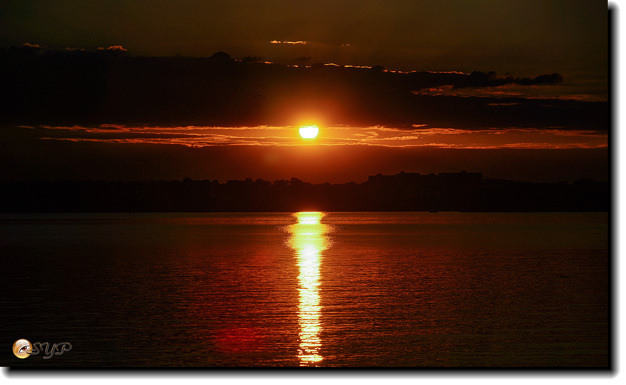 DSC05407_.jpg
