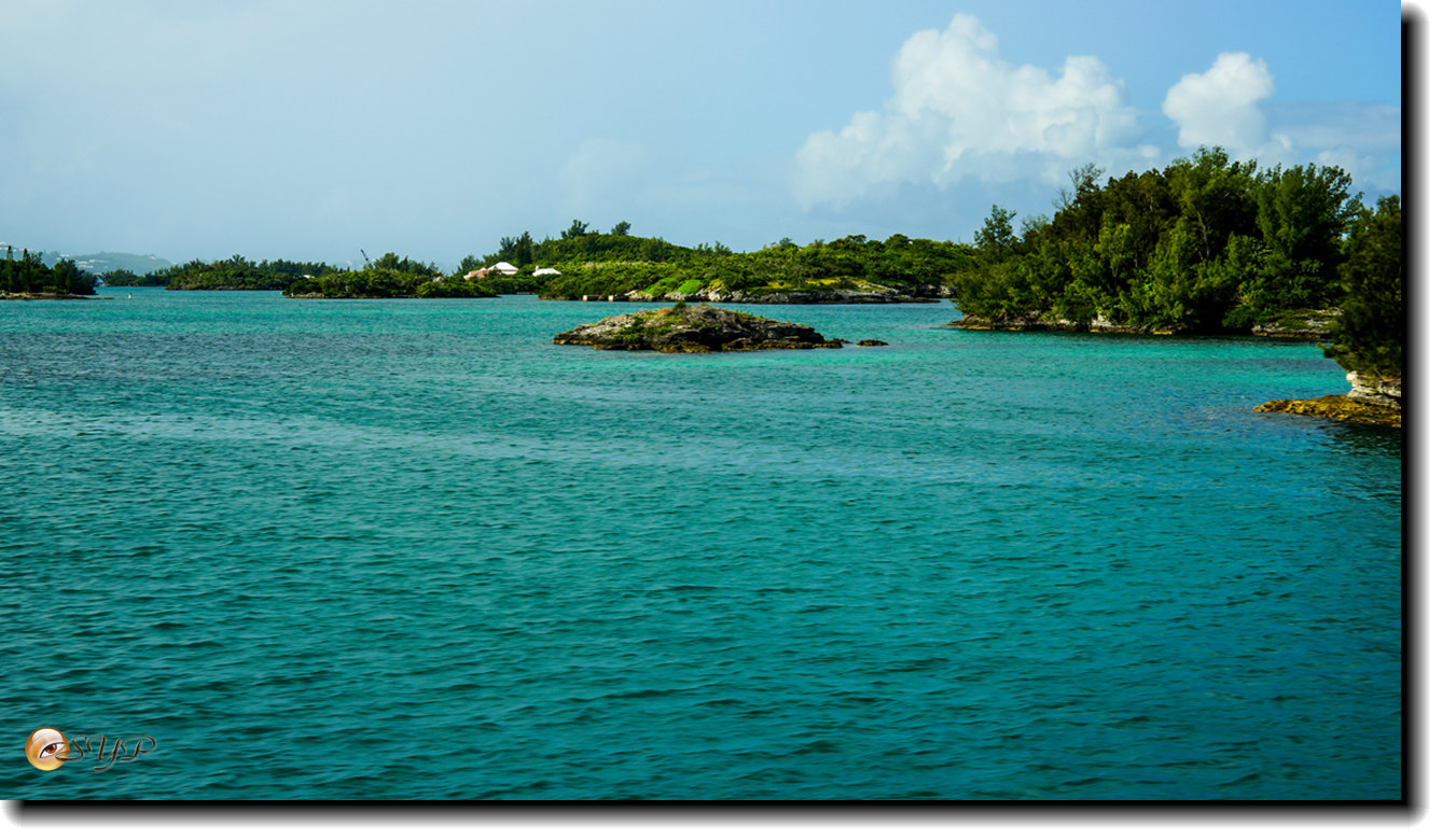 DSC06513_.jpg