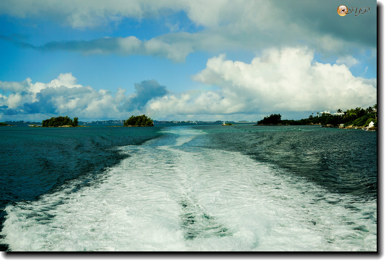 DSC06519_.jpg
