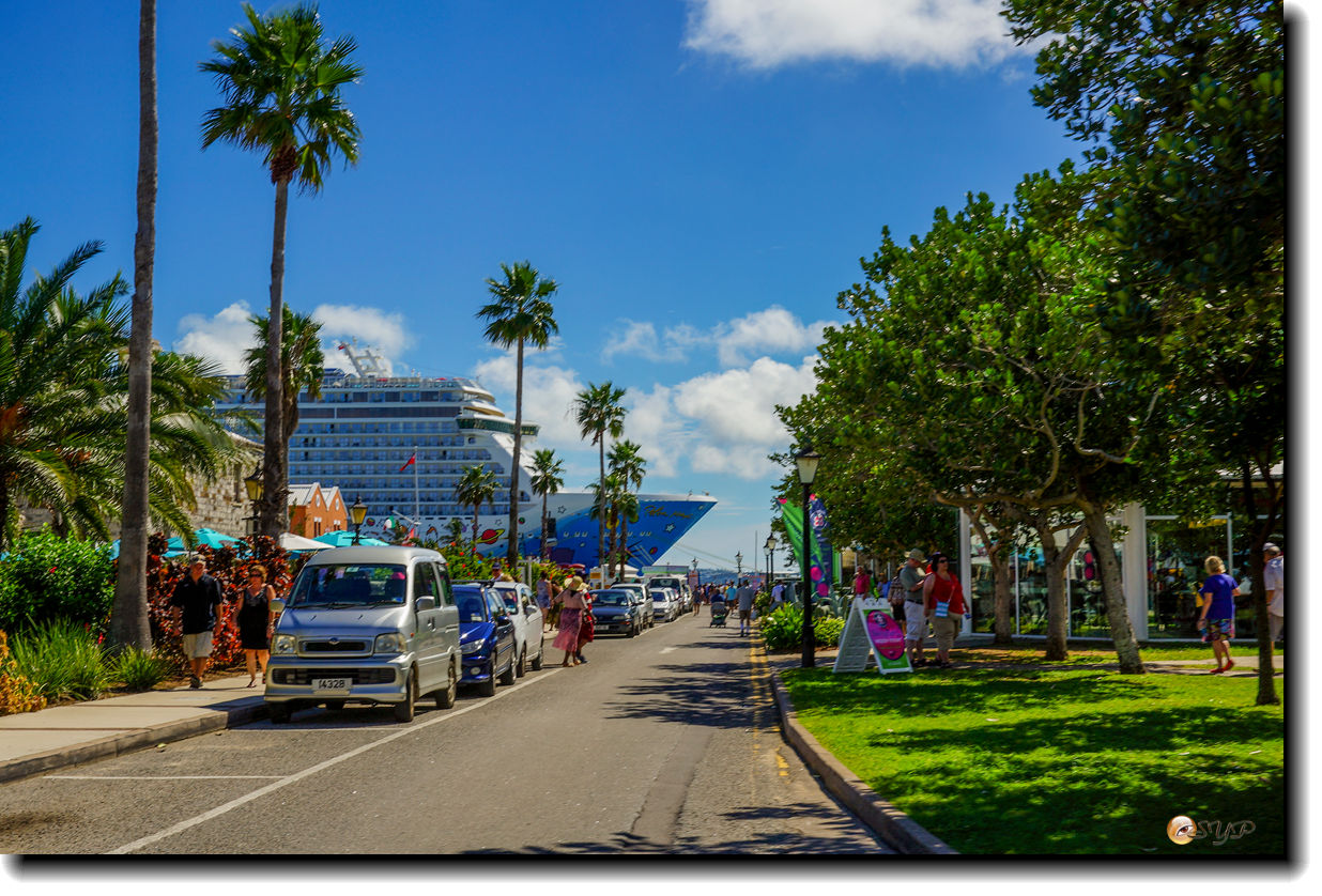 DSC06960_.jpg