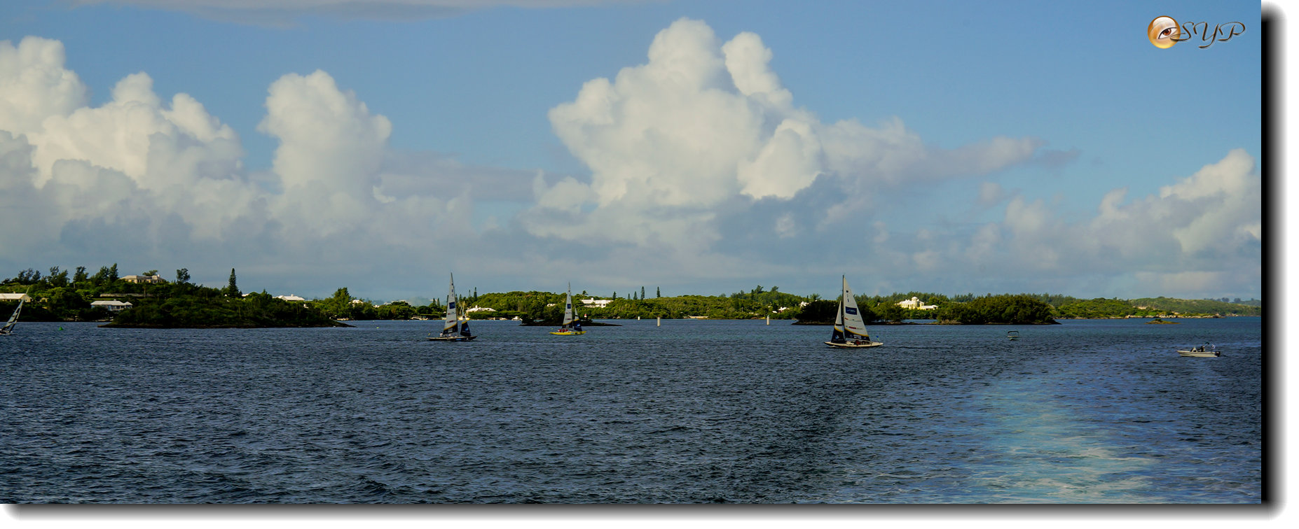 DSC06560_.jpg