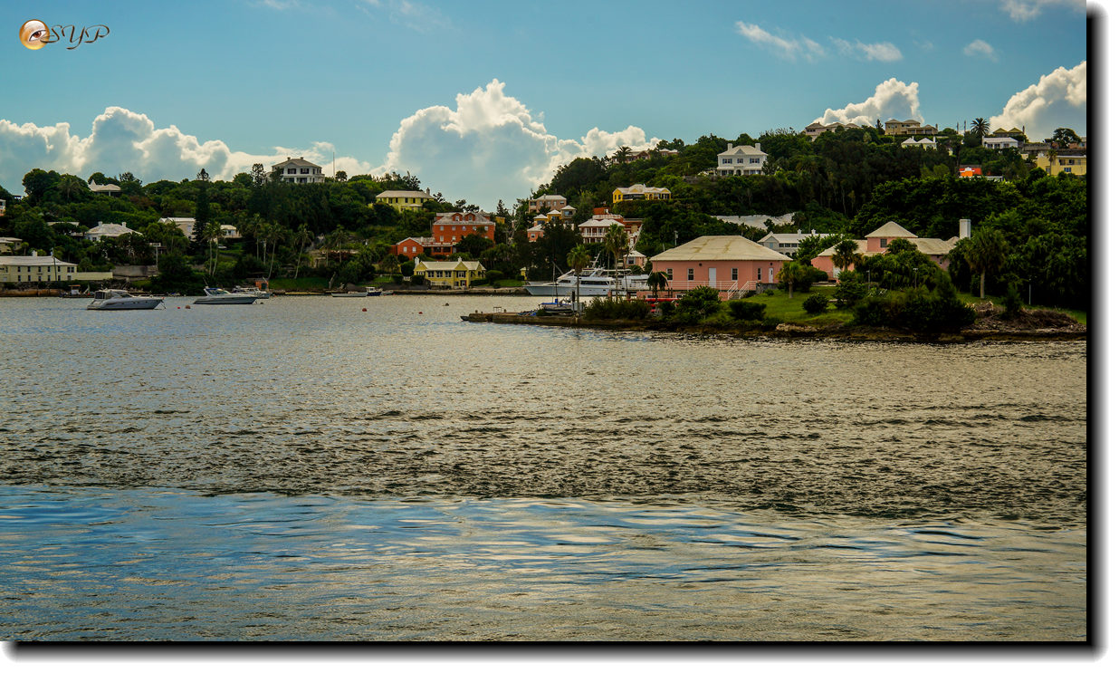DSC06569_.jpg