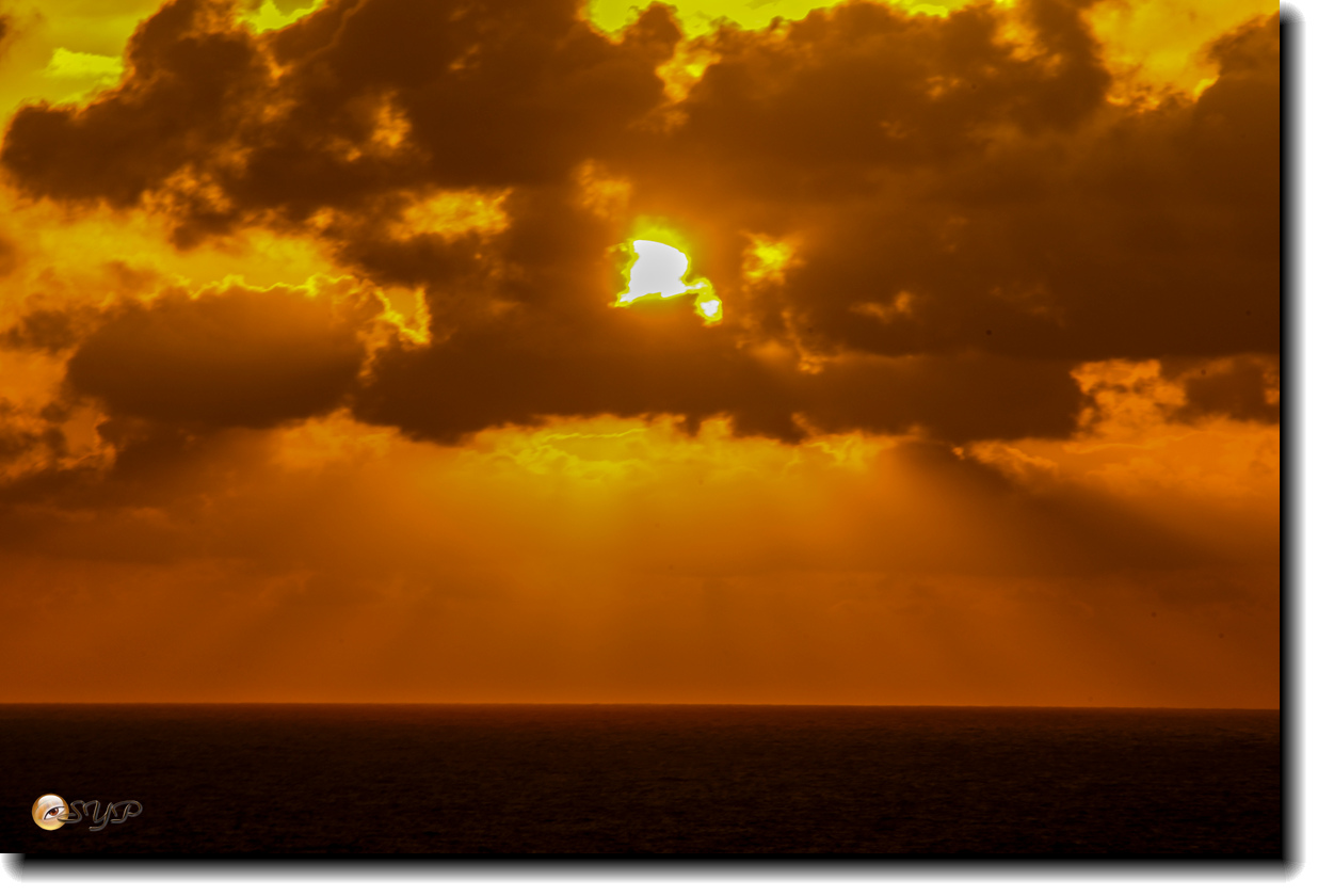 DSC05919_.jpg