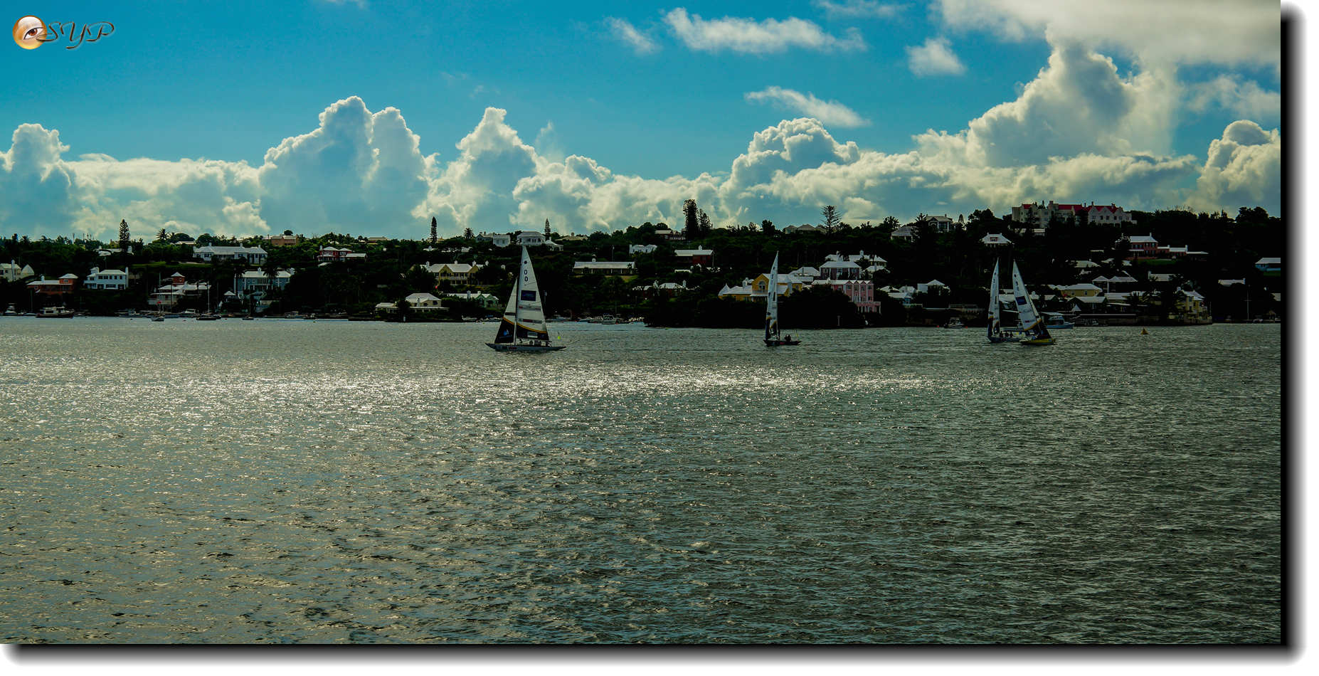 DSC06529_.jpg