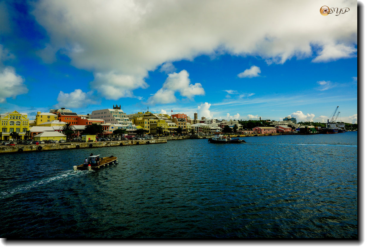 DSC06572_.jpg
