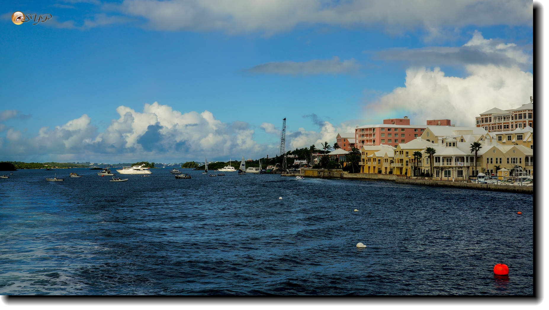 DSC06563_.jpg