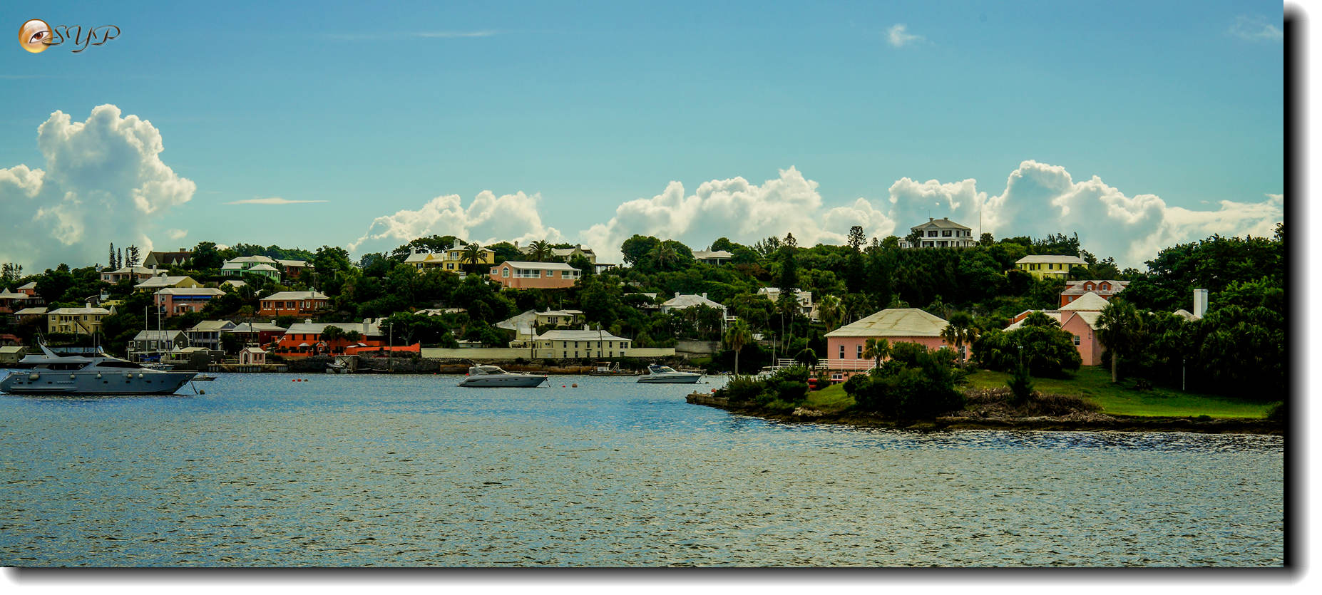 DSC06567_.jpg