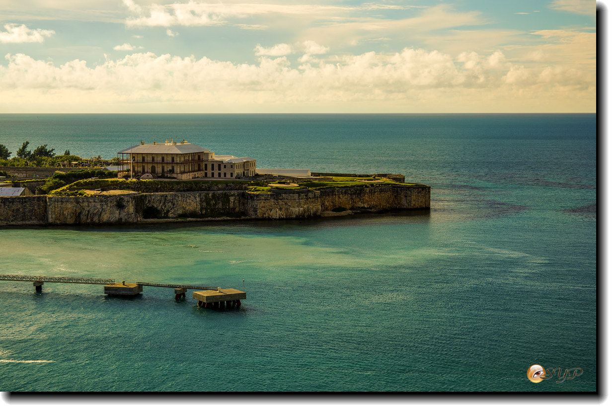 DSC07061_.jpg