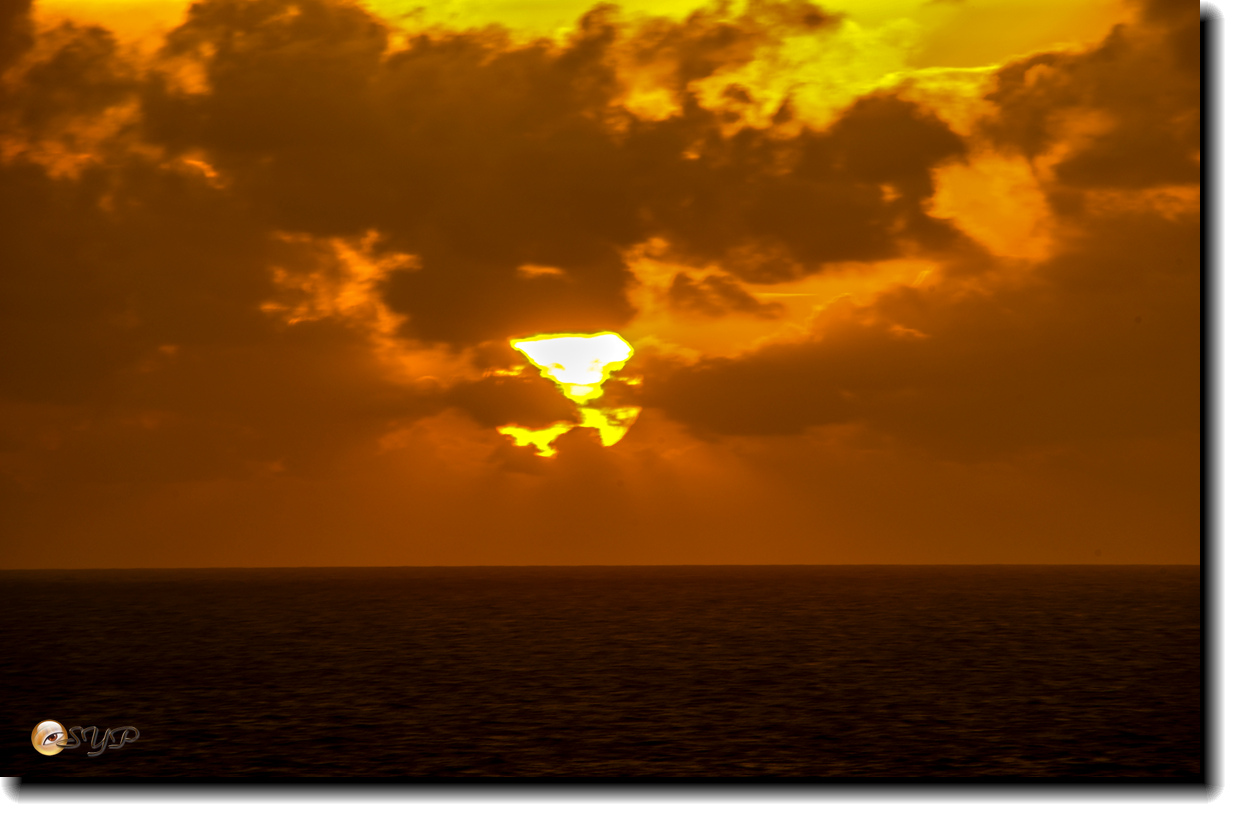 DSC05899_.jpg