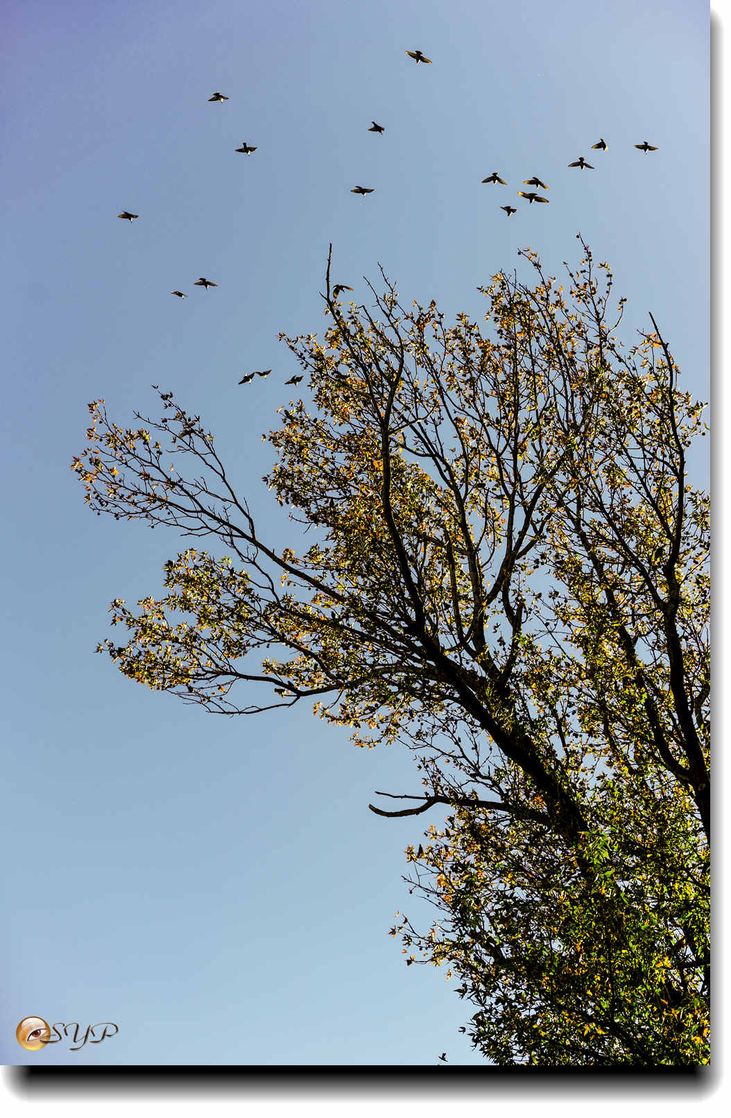 DSC08570_.jpg