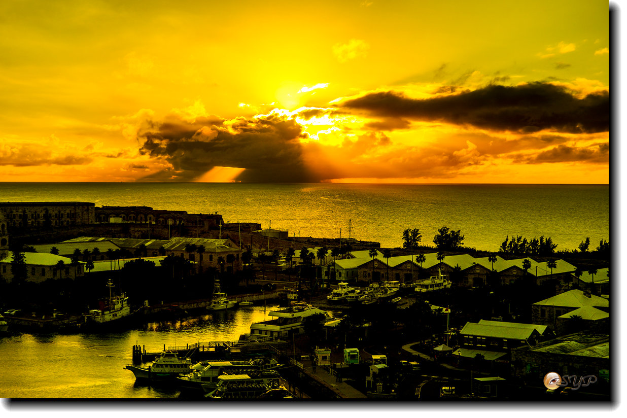DSC06379_.jpg