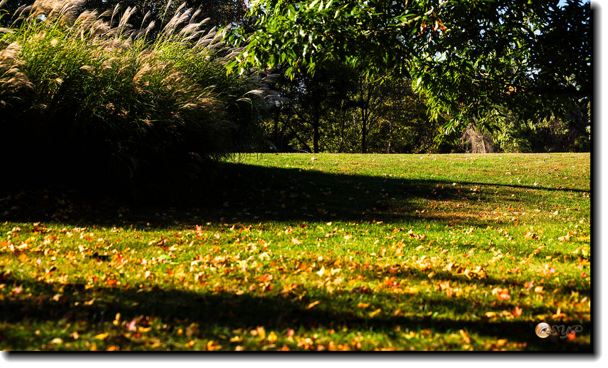 DSC08715_.jpg