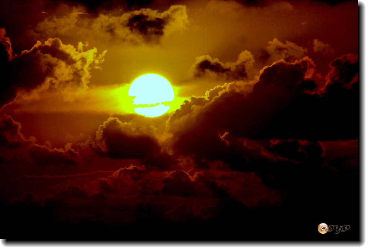 DSC05940_.jpg