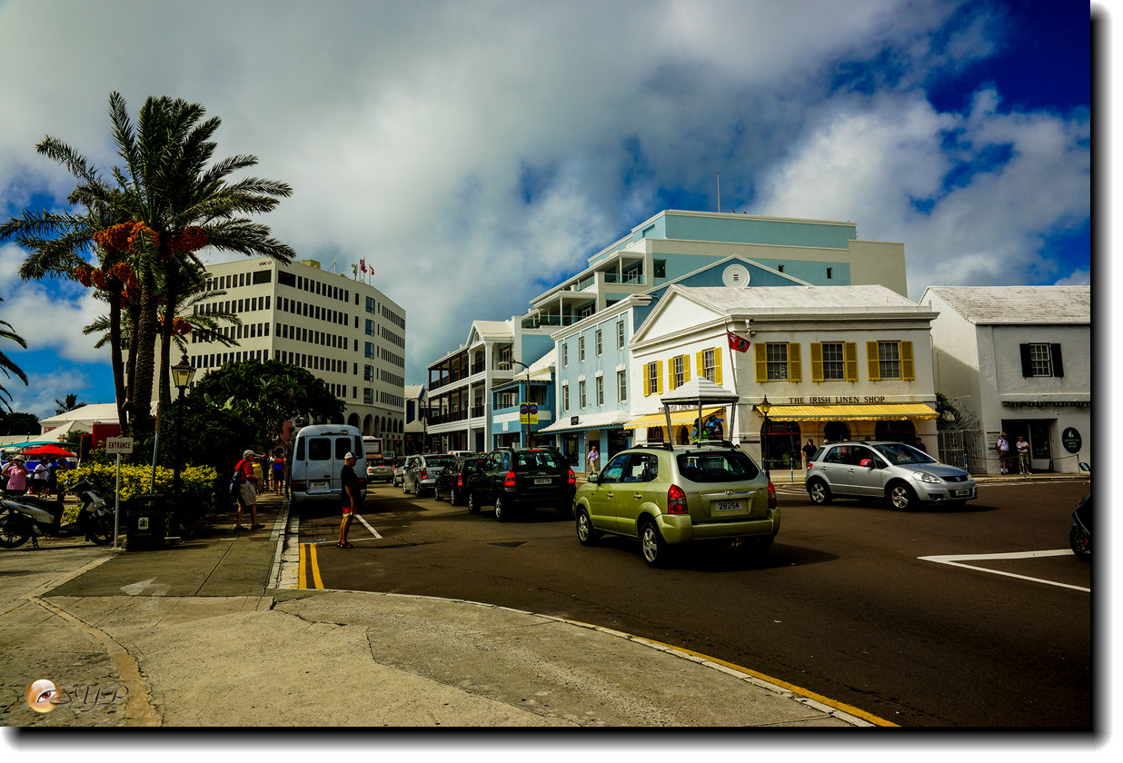 DSC06238_.jpg