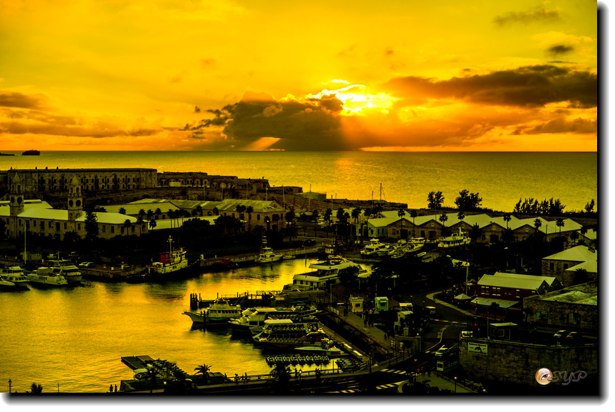 DSC06385_.jpg