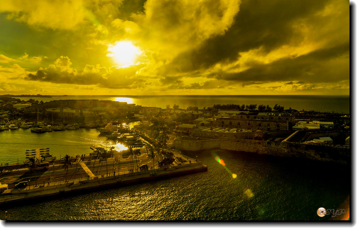 DSC06361_.jpg
