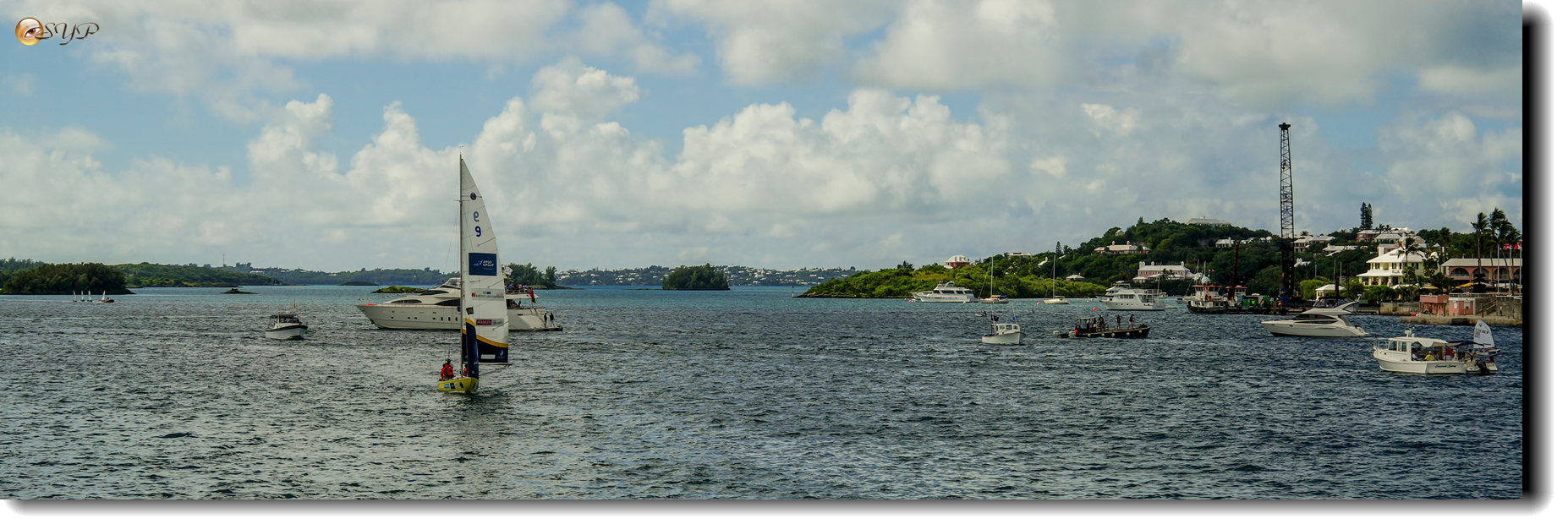 DSC06720_.jpg
